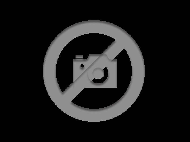 Opel Movano - (30) F3300 L1H1 135 CH BITURBO